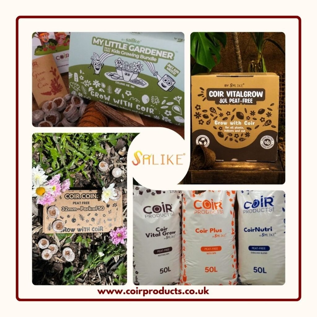 From the earth, back to the earth: Salike® marks another milestone in its transformative brand journey